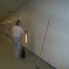 Finish regulated pharmaceutical manufacturing facility where antimicrobial very washable coatings were applied.  Picture shows cleaning and etching products being used to prepare surface for new coating.  Decals and placards installed once coated.